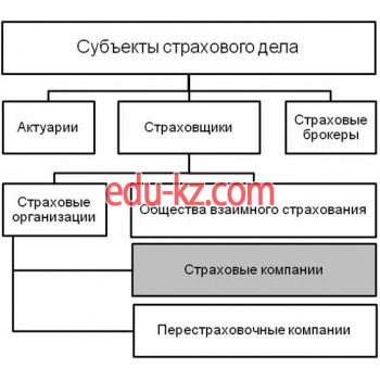 Страховая компания Страховая компания - на auditbase.su в категории Страховая компания