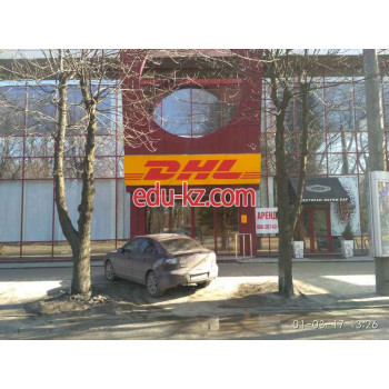 Курьерские услуги DHL - на auditbase.su в категории Курьерские услуги