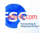 Таможенный брокер Forwarding u0026 Shipping Group Inc - на auditbase.su в категории Таможенный брокер