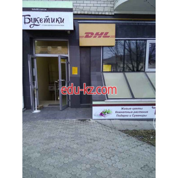 Курьерские услуги DHL - на auditbase.su в категории Курьерские услуги