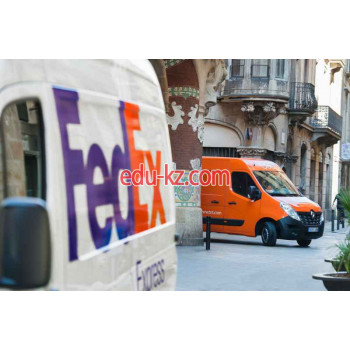 Курьерские услуги TNT Express - на auditbase.su в категории Курьерские услуги