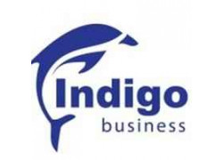 IndigoBusiness